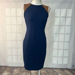 Lauren Ralph Lauren Sleeveless brown leather trim sheath Dress Size 4P